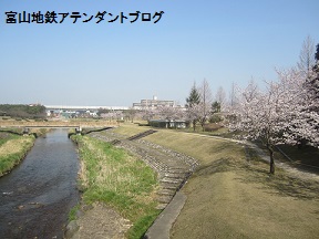 稲荷町で見つけた、かわいいお店でランチ_a0243562_16173338.jpg