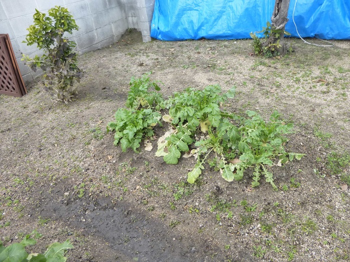 公共事業_f0205367_17124979.jpg