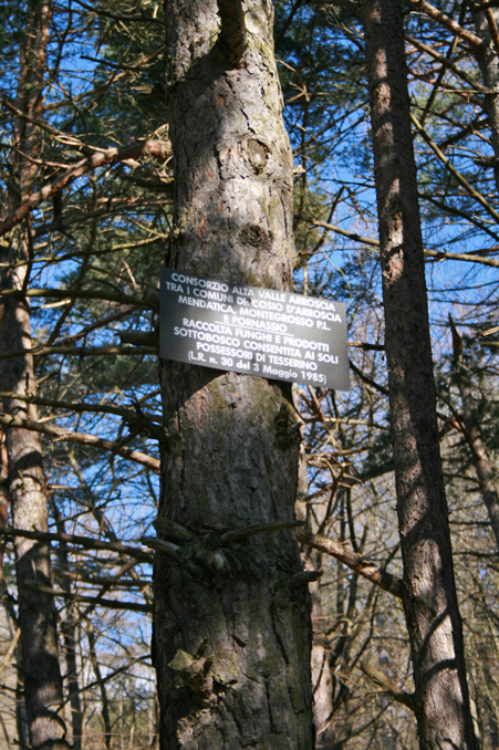 b0120269_20339.jpg