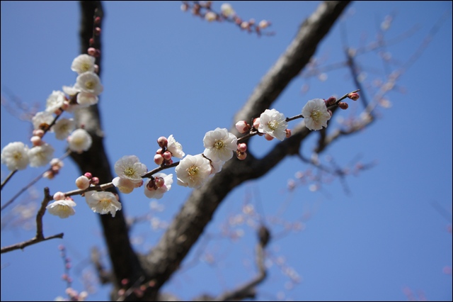 青葉の森公園_b0192470_2034229.jpg