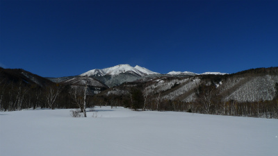 f0182173_1449553.jpg