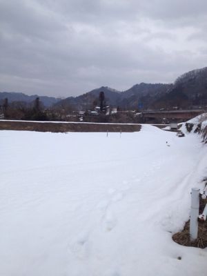 f0306678_2035196.jpg