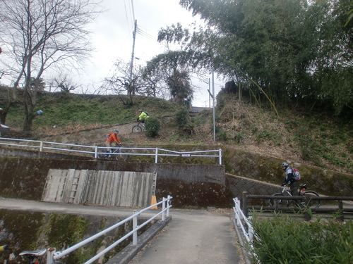d0115997_34991.jpg