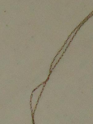 新商品入荷情報　１５_d0176398_12335512.jpg