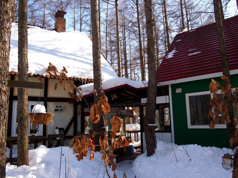 2月も最終日・・春を思わせる陽気に雪どけが進みます!_f0276498_23112951.jpg
