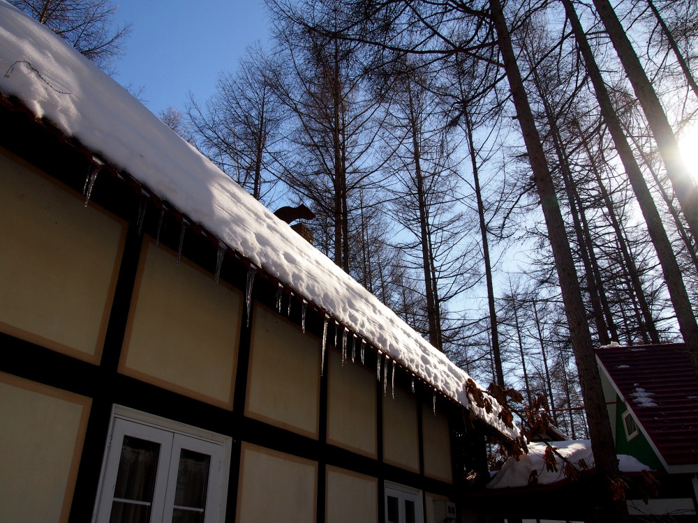 2月も最終日・・春を思わせる陽気に雪どけが進みます!_f0276498_23121622.jpg