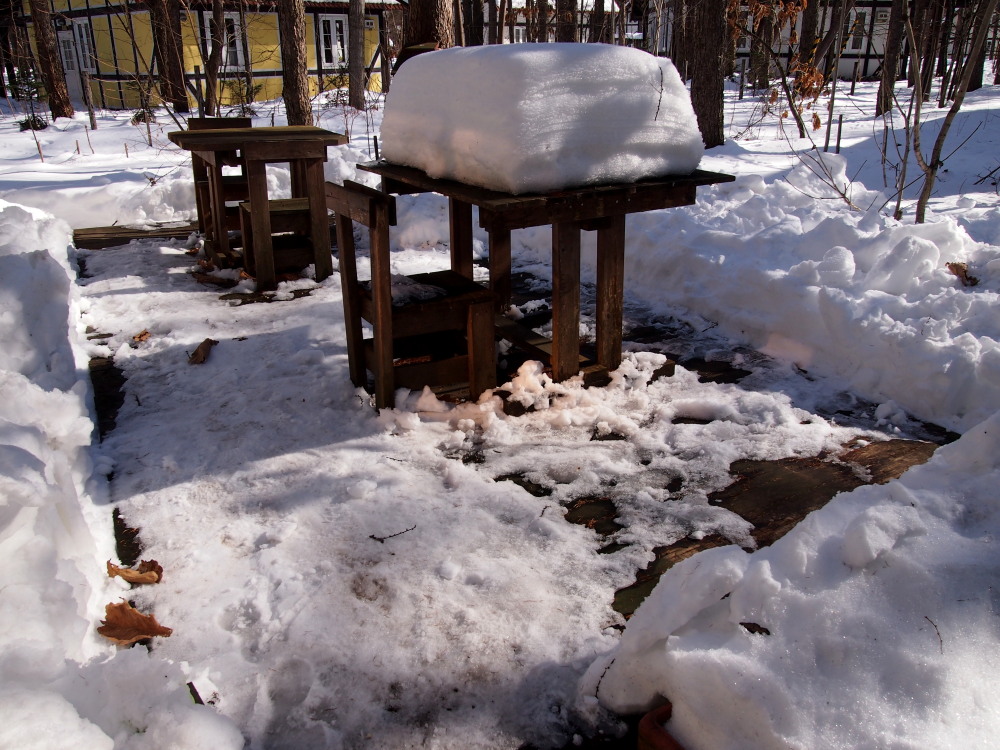 2月も最終日・・春を思わせる陽気に雪どけが進みます!_f0276498_23131672.jpg