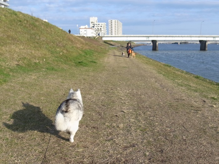 c0049299_22273349.jpg