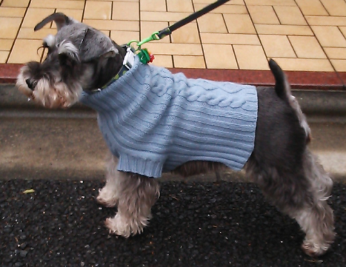 a0057402_20432396.png