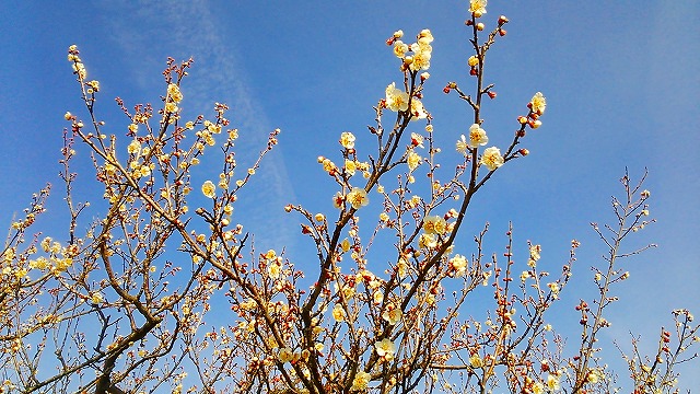 f0193702_05435.jpg
