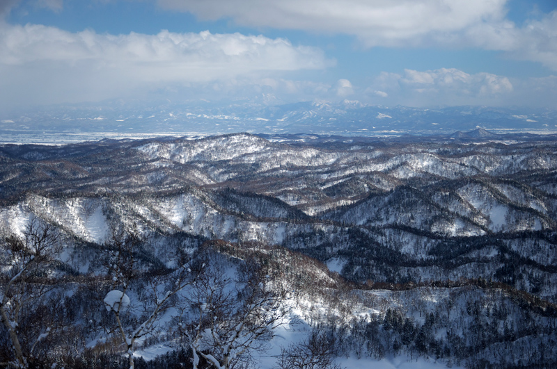 東仁奈良（三等三角点）　　2014.2.22_f0200402_12571843.jpg