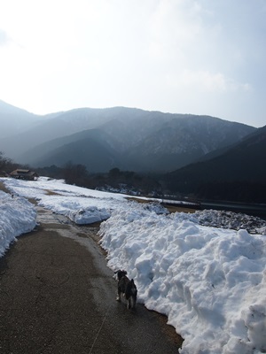 f0254105_152915.jpg