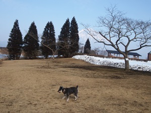 f0254105_15344465.jpg