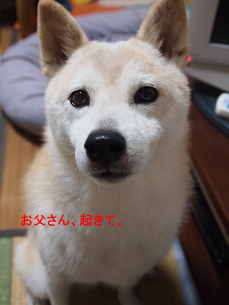 e0131506_10341760.jpg