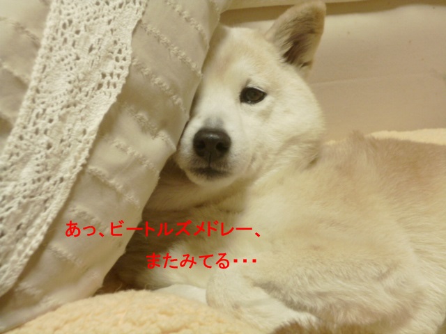 e0131506_12484846.jpg