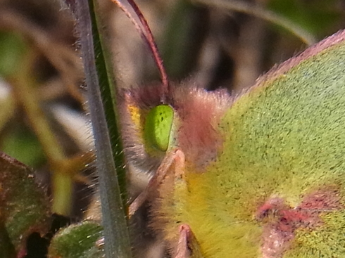 d0251807_7491045.jpg