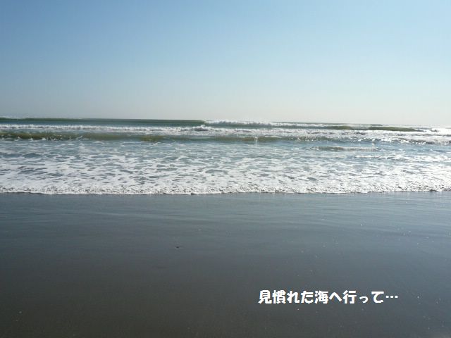 e0094407_722793.jpg