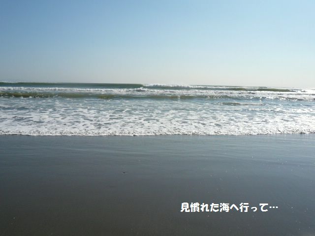 お出かけ=3_e0094407_722793.jpg