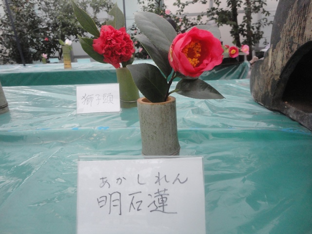 f0231709_19373315.jpg