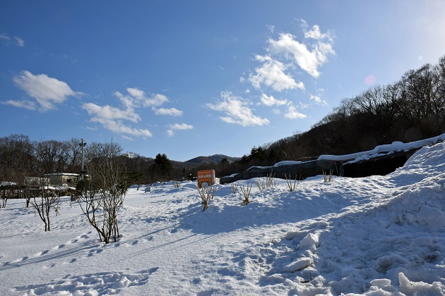 a0151913_1131185.jpg