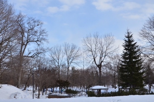 e0062415_20353375.jpg