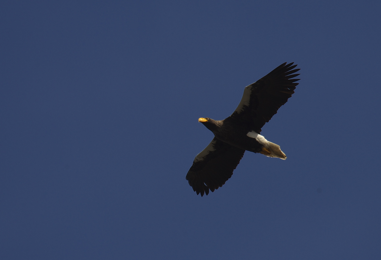 f0288418_0523139.jpg