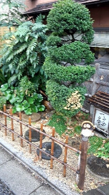 e0164825_74823.jpg