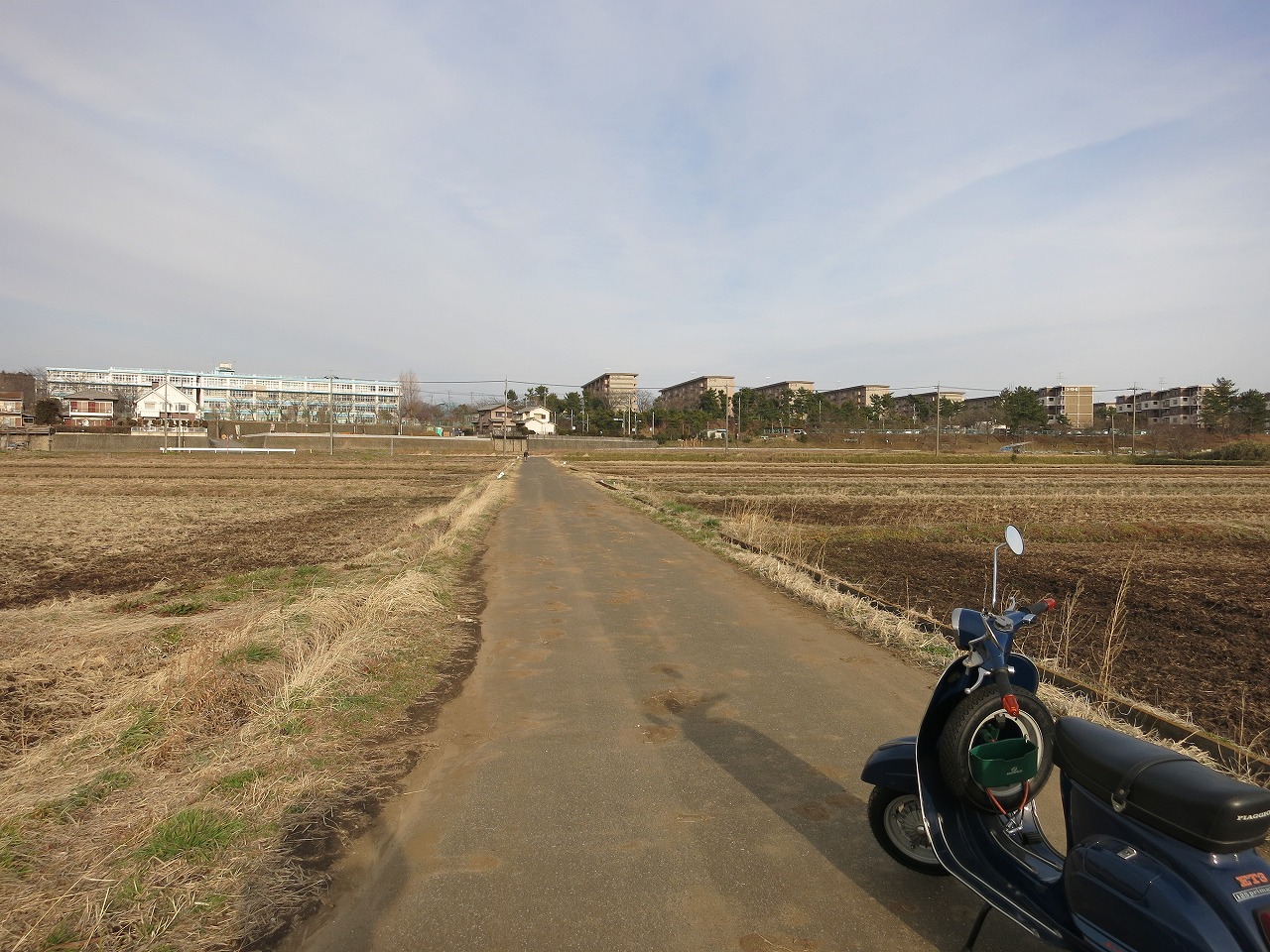 暖かかったのに寒くて3月_f0225627_1141851.jpg