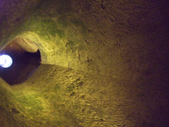 e0303431_22353533.jpg