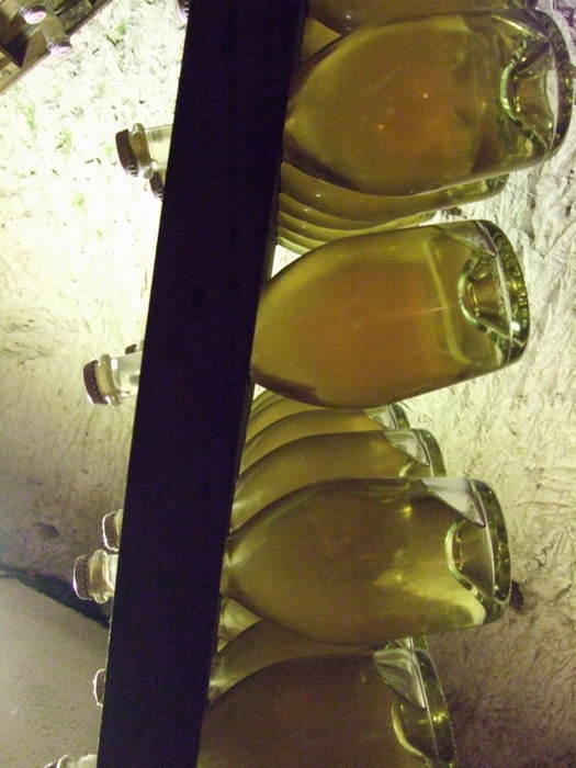 e0303431_22381493.jpg