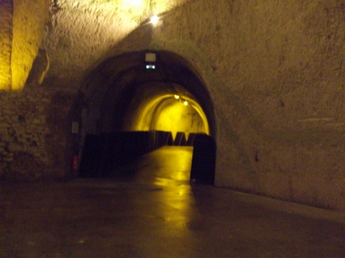 e0303431_2243536.jpg