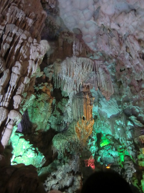 a0006033_1915881.jpg