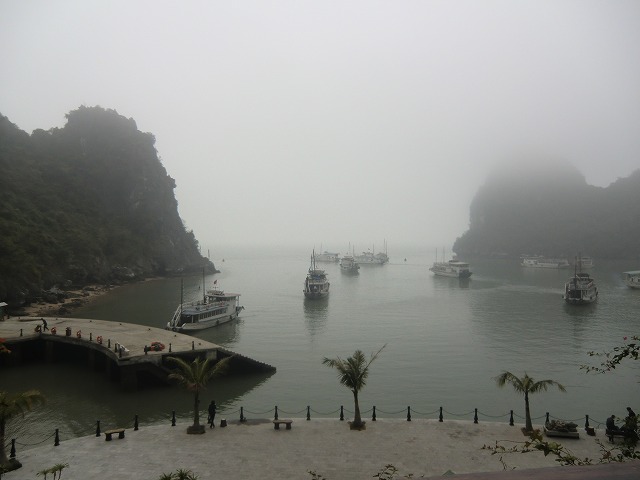 a0006033_1921764.jpg