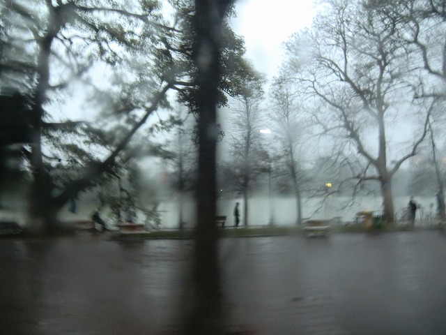 a0006033_1932585.jpg
