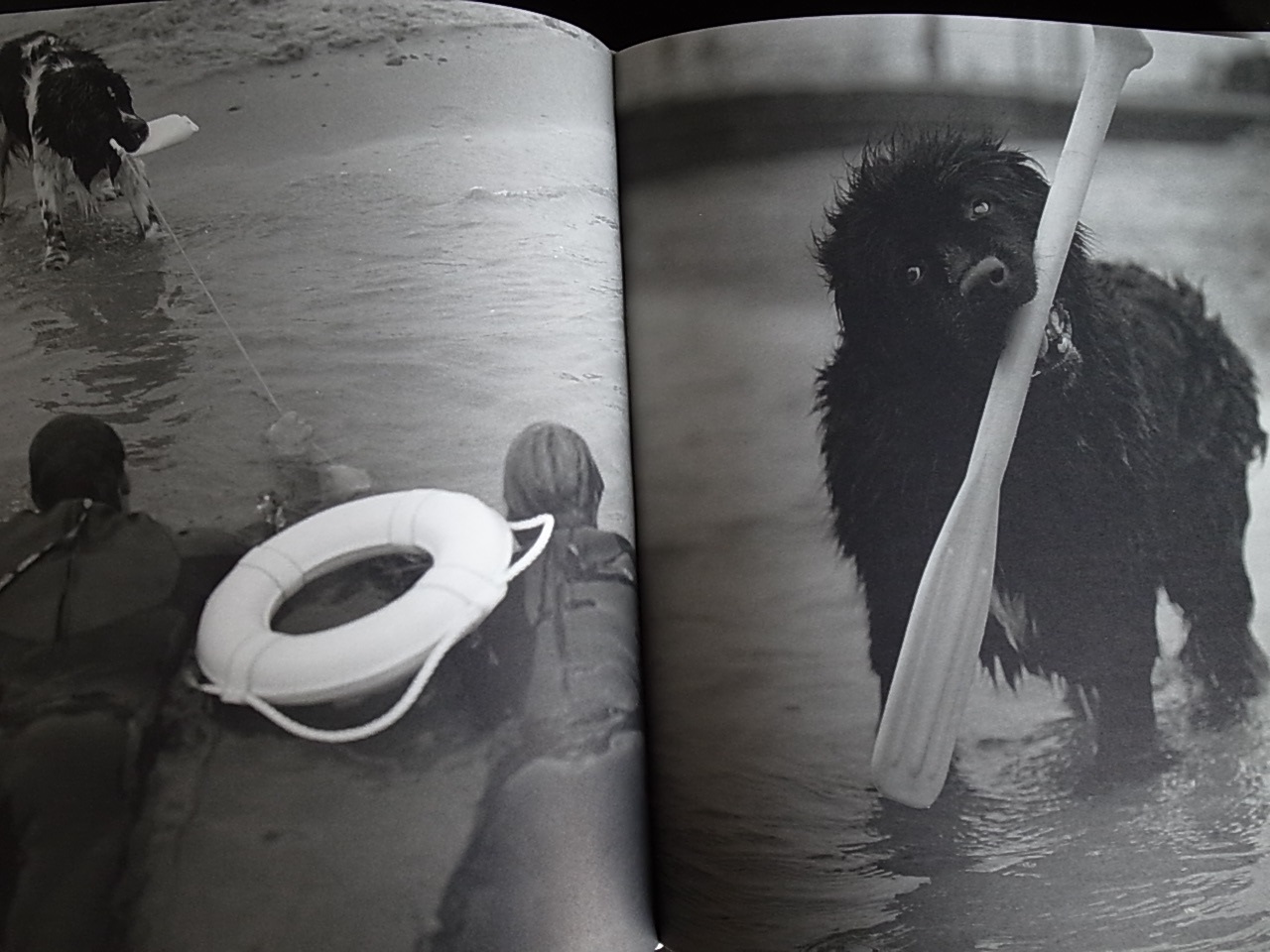 GENTLE GIANTS / Bruce Weber_a0227034_13312949.jpg