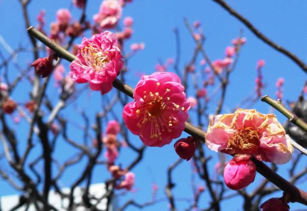 浜離宮恩賜公園にて_b0008241_9352322.jpg