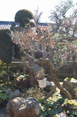 b0082242_1741149.jpg