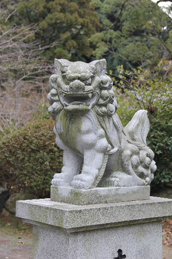 【高倉神社】　大楠の巨木と神功皇后お手植の「逆さ杉」の綾杉_c0011649_8264139.jpg