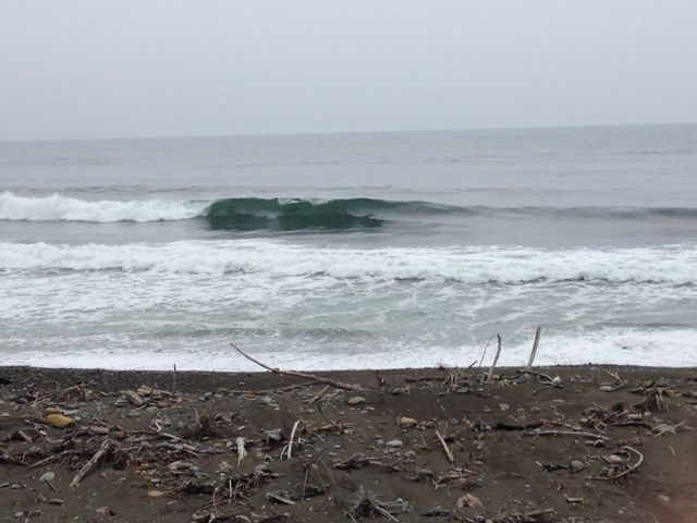 c0254151_1552279.jpg