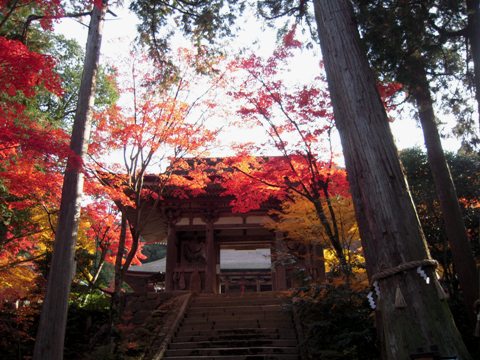 紅葉の湖東三山・西明寺へ②（犬上郡甲良町）_d0049152_1194218.jpg