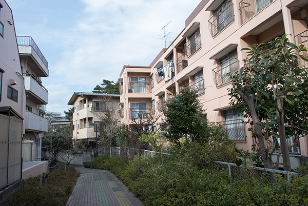 2014/03/01 成増_b0171364_1382746.jpg