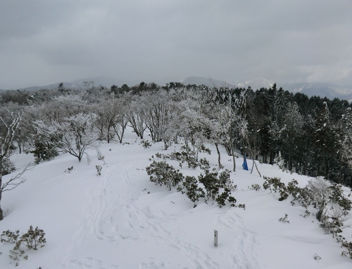 No333兵庫宍粟市東山　雪山散策_b0185573_1557238.jpg