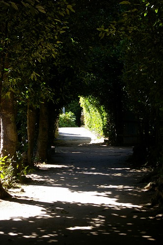 f0168478_0254.jpg