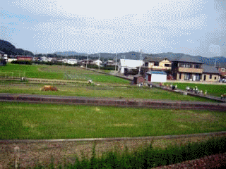 d0136282_1184239.gif