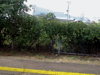 d0136282_1185874.gif