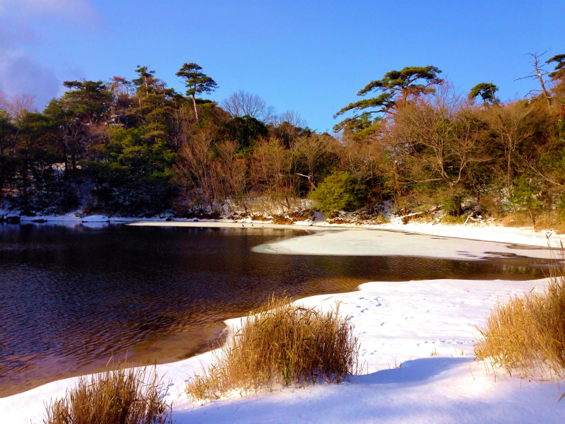 Snow Running in Mt.Rokko_b0220886_2329178.jpg