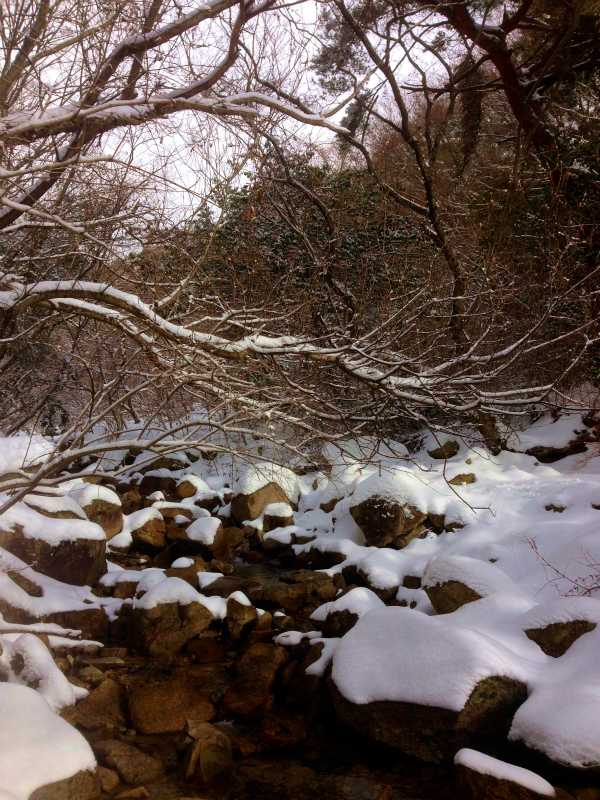 Snow Running in Mt.Rokko_b0220886_23311876.jpg