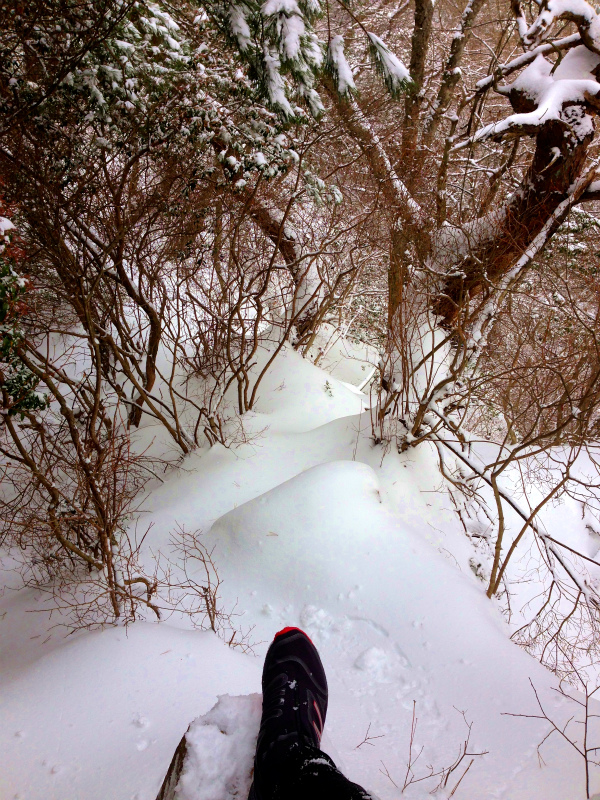 Snow Running in Mt.Rokko_b0220886_23313459.jpg