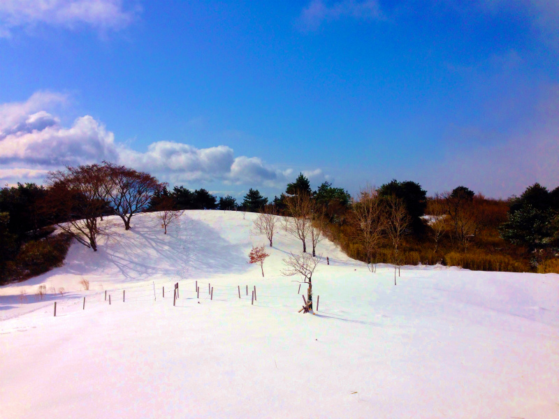 Snow Running in Mt.Rokko_b0220886_233687.jpg