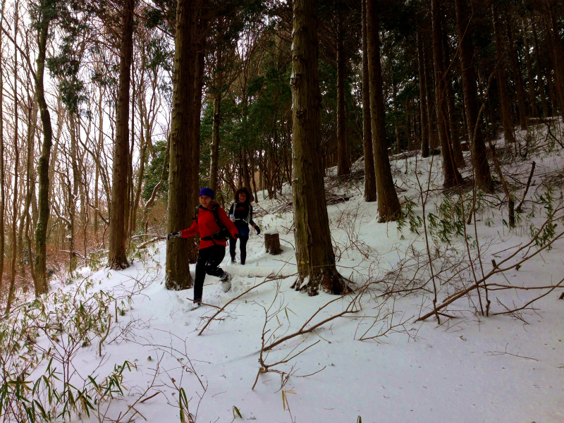 Snow Running in Mt.Rokko_b0220886_23375051.jpg